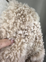 real lamb fur coat furry elegant 2023 Autumn Winter woman free shipping